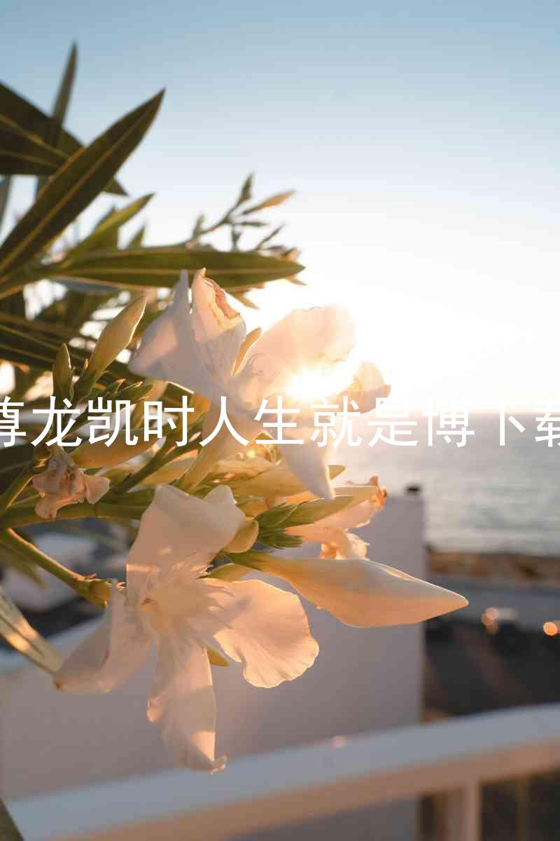 尊龙凯时人生就是博下载