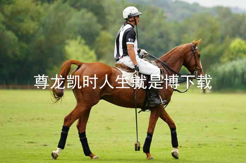 尊龙凯时人生就是博下载