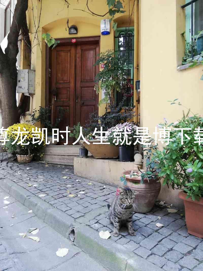 尊龙凯时人生就是博下载